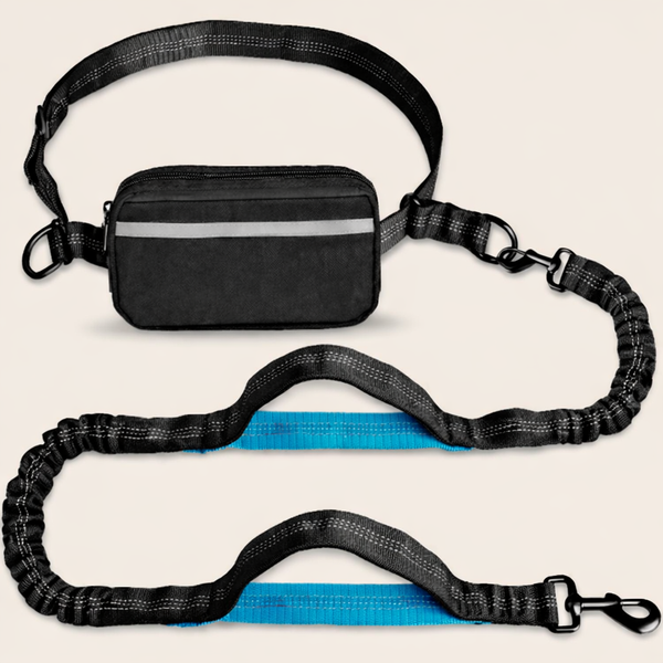 Running-Leine. Hands-free mit Bungee