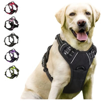 NO-PULL. Hundegeschirr Front-Clip reflektierend