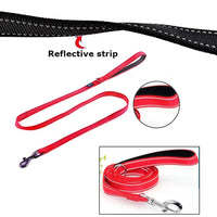 Outdoor-Leine. Robust mit Doppelgriff