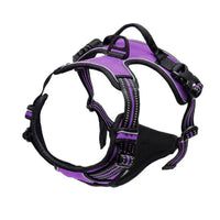 NO-PULL. Hundegeschirr Front-Clip reflektierend