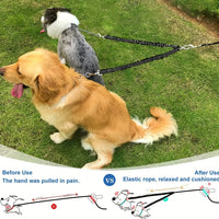 Twin-Leash. Für zwei Hunde