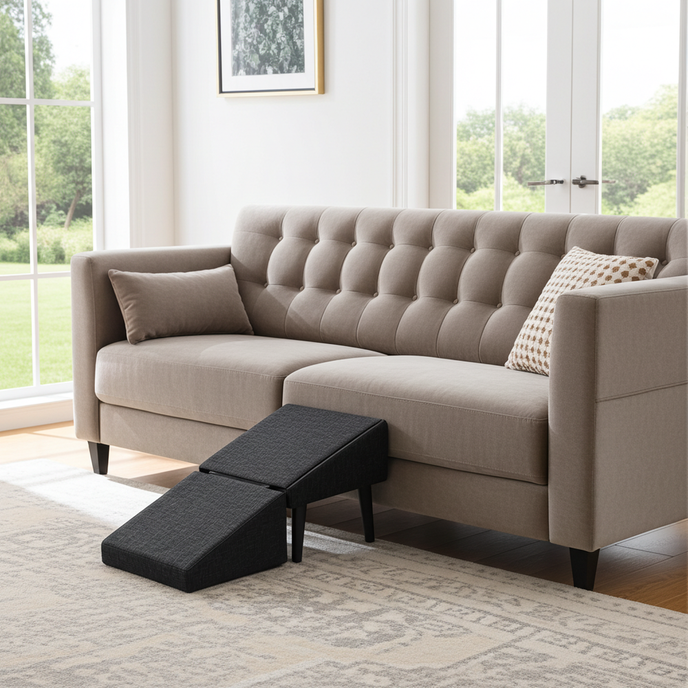 Couch Ramp. Hunderampe